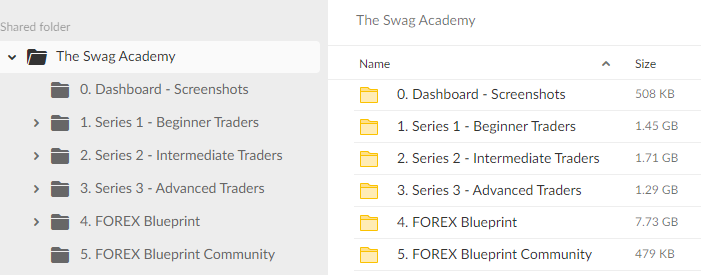 The Swag Academy – Forex Course