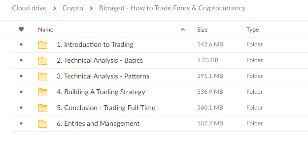 Bitraged – How to Trade Forex & Cryptocurrency download